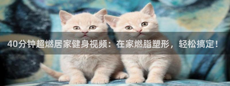 龙8国际pt官网