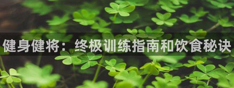 龙8国际2020官方网站