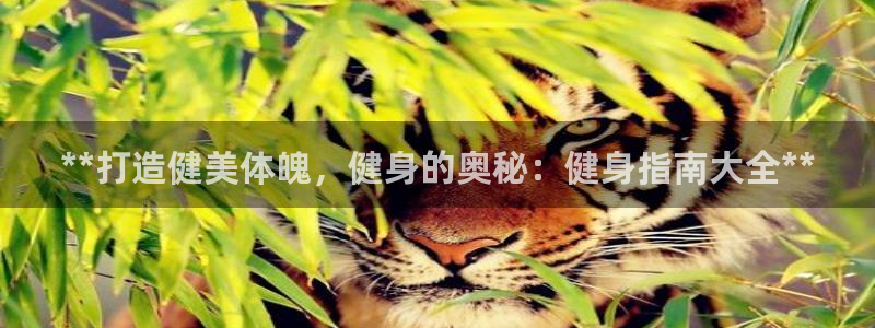 龙8国际官网 点此进入游戏