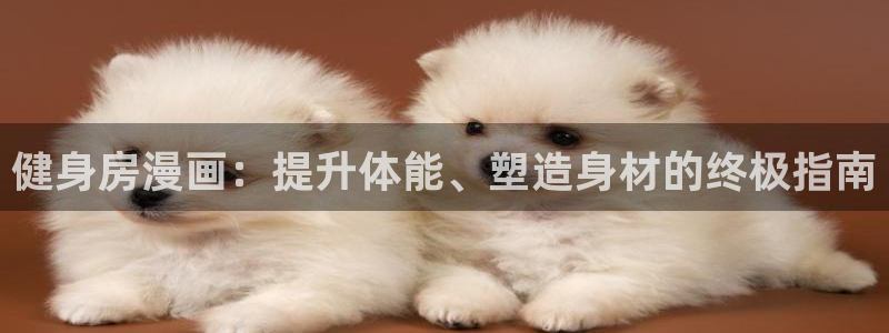 龙8游戏入口