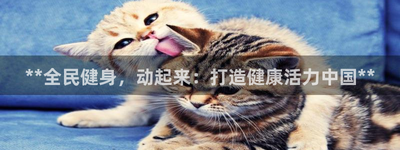 龙八国际首页