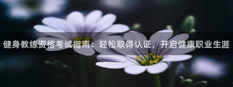 龙8国际官网点此进入游戏