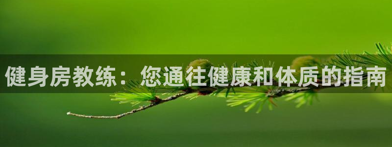 龙8国际安卓版版