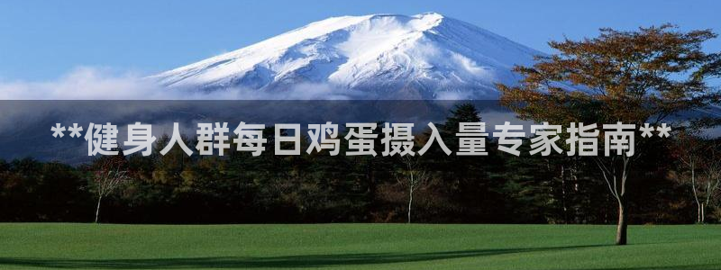 龙八国际服官网入口
