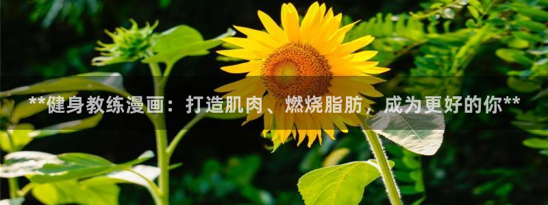 龙8国际网页版