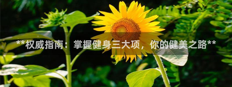 龙8国际官方网站手机版