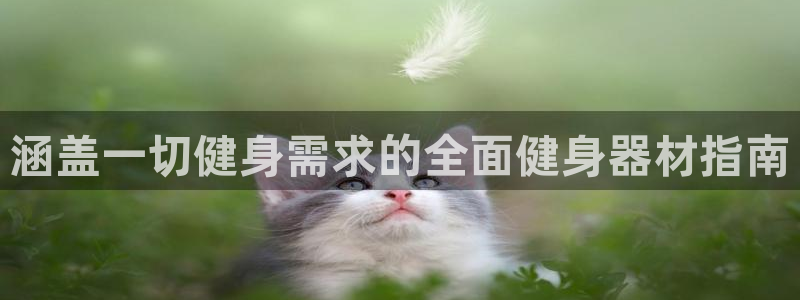 龙8国际正规吗
