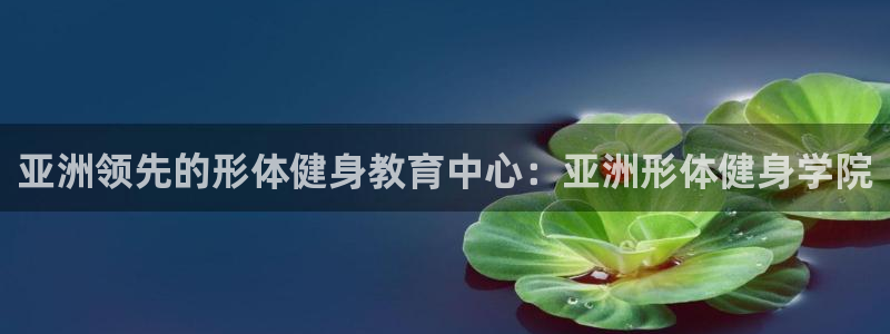 龙8国际2020官方网站