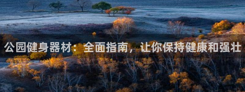 龙八国际城