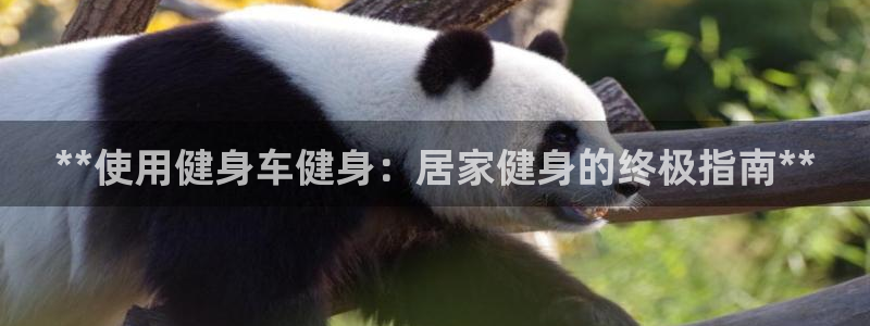 龙8国际游戏最新资讯