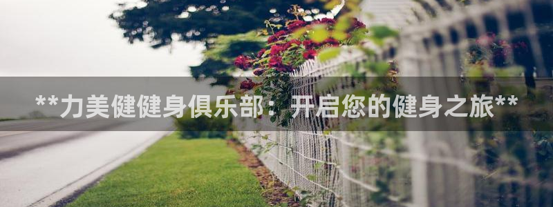 龙8国际官方网