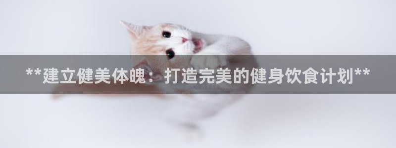 龙八国际app下载客户端