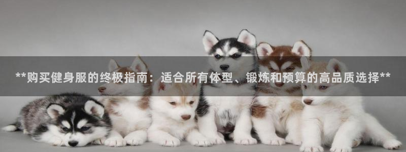 龙8国际安卓版版
