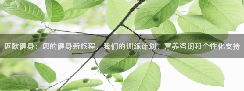 龙8国际游戏最新资讯