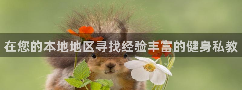 龙8官网老虎机游戏主页