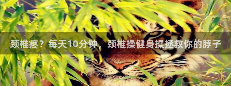 龙8国际官网 点此进入