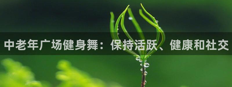 国际龙8官网pt客户端