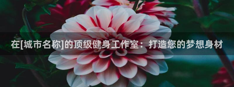 龙8国际网站是多少