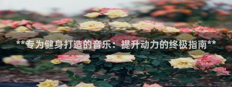 龙8国际官方网