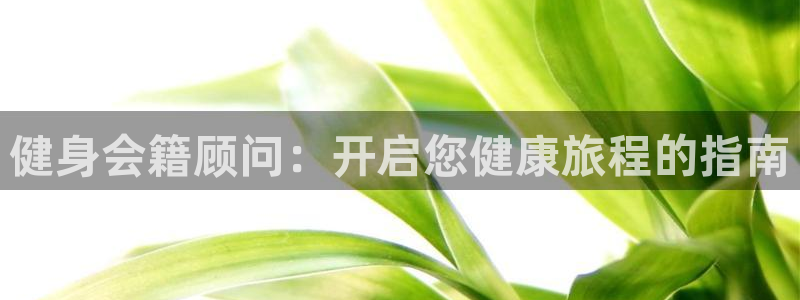 龙8国际官网进入