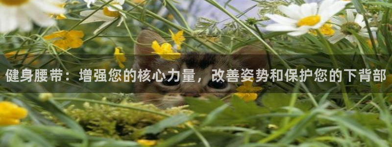 龙8国际官网app下载旧