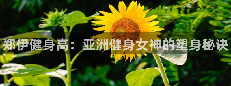 龙8官网老虎机游戏主页