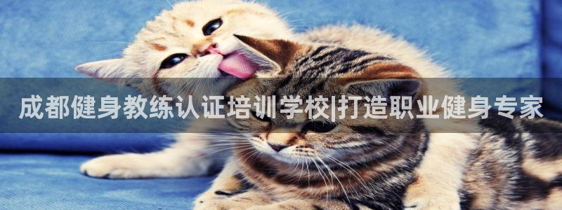 龙8国际老虎机娱乐