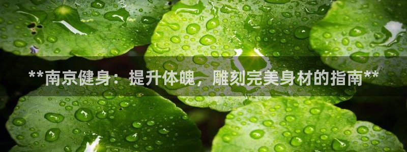 龙8国际官网首页