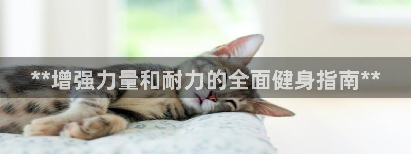 龙八国际首页