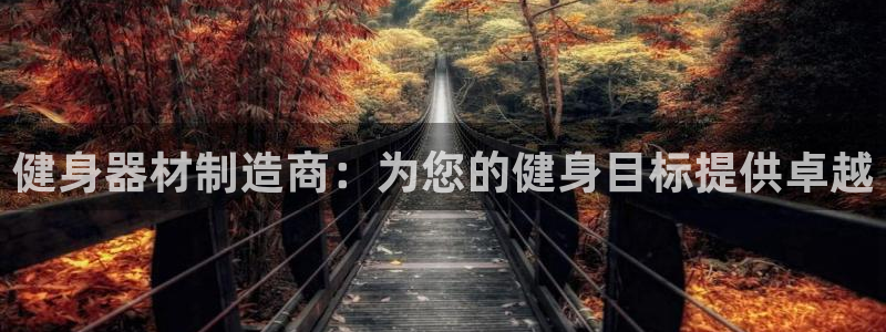 龙 八国际