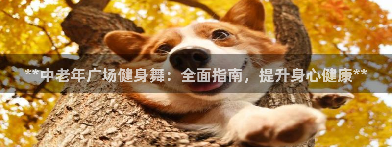 龙8国际试玩