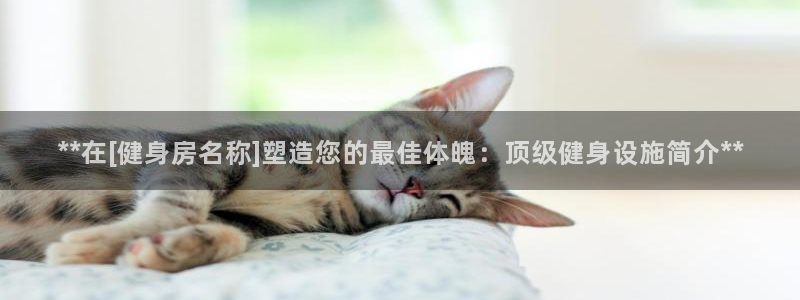 龙八国际娱乐官网app