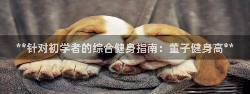 龙8官网正版