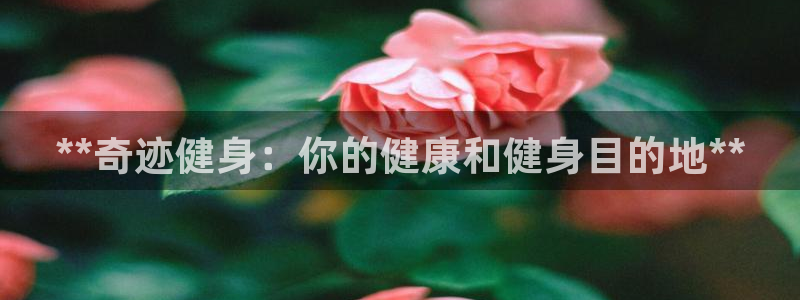 龙8国际是不是黑网