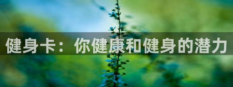 龙8国际网页版