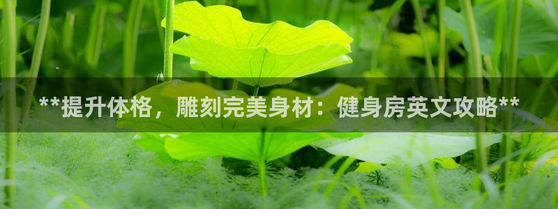 龙8国际pt网址官方