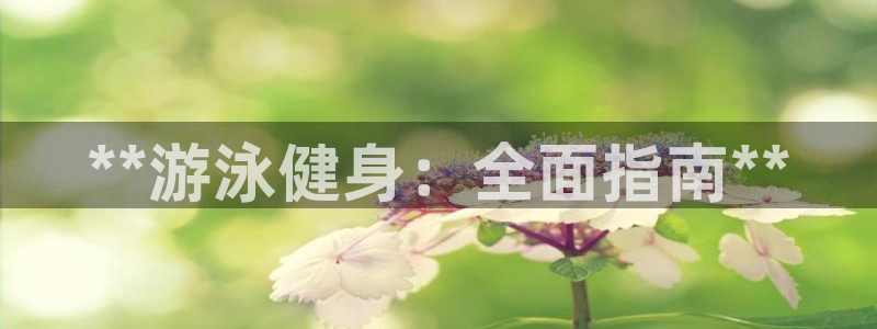 龙8官网国际