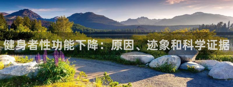 龙八国际登录入口