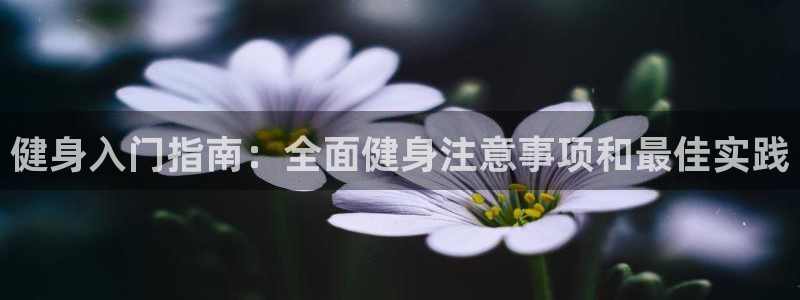 龙八国际官方网