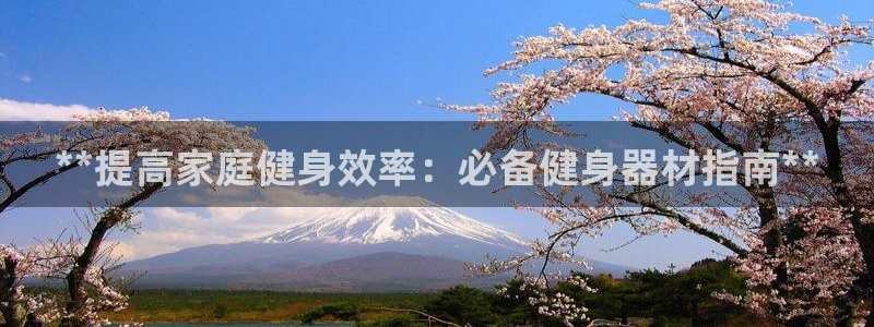 龙8国际手机版注册