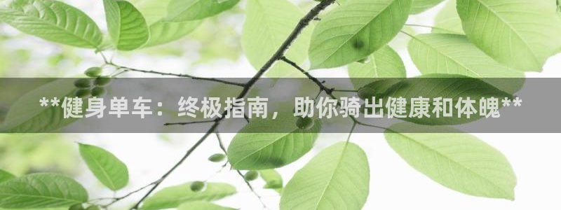 龙8国际官方网站