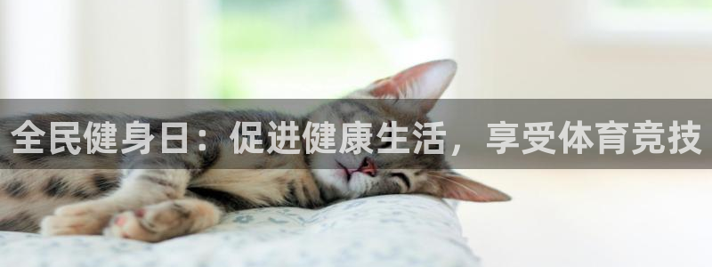 龙8国际官方网页