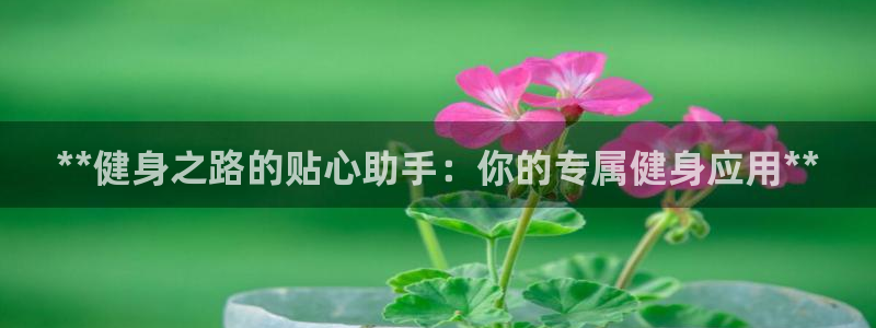 龙8国际官网首页