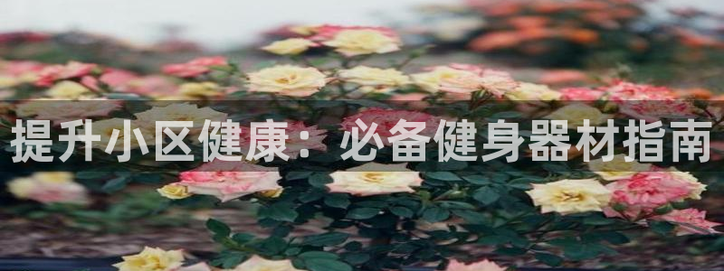 龙8游戏官网