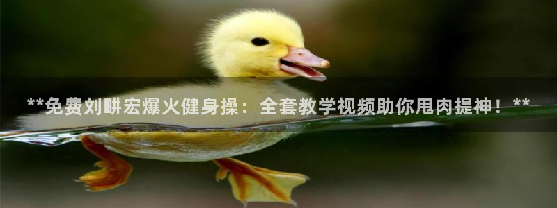 龙8国际是什么平台
