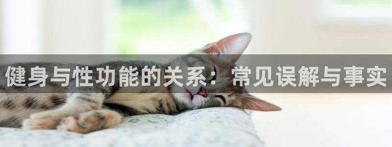 龙8游戏官方网站s