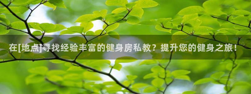 龙8国际pt