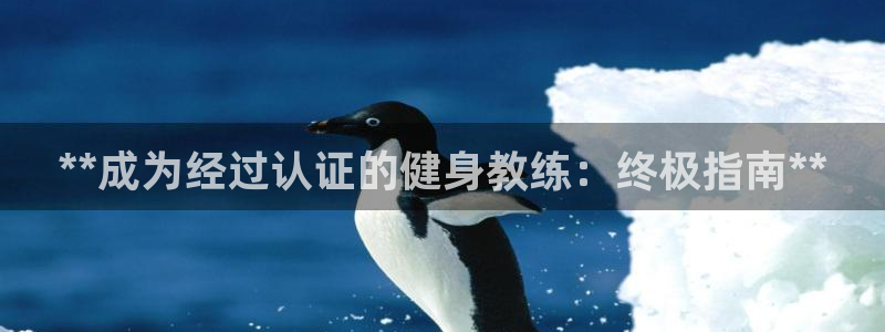 龙八国际下载链接