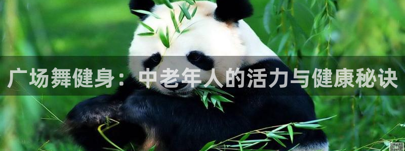 龙8国际网站