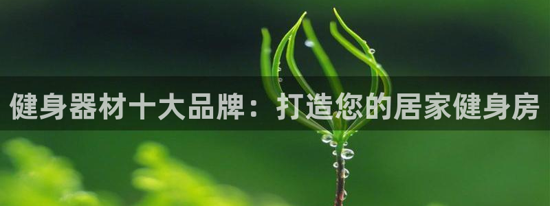 龙8网页版登录入口